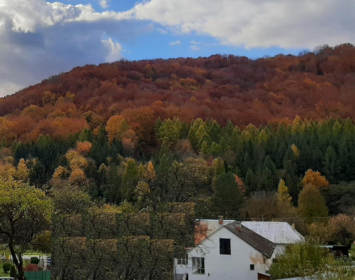 Babickin Dom Villa Medzilaborce Esterno foto